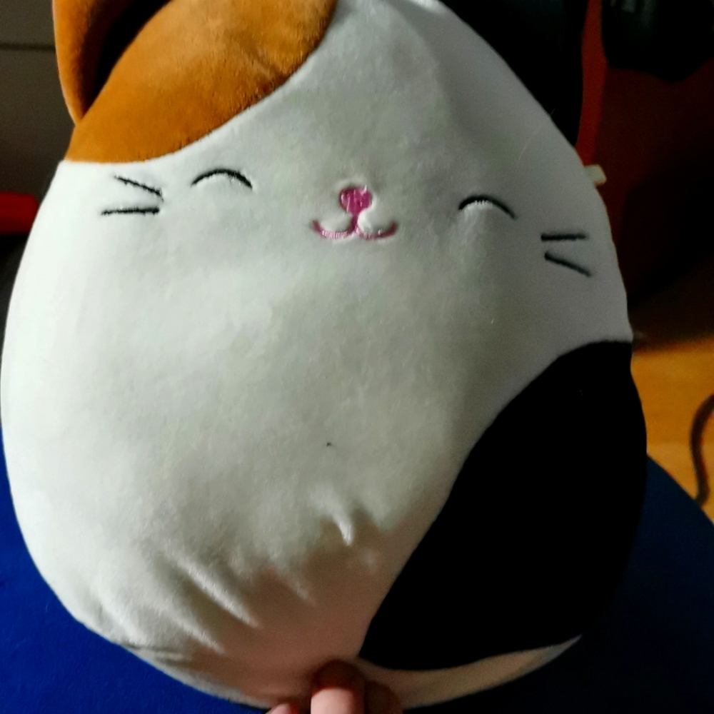 Squishmallow!